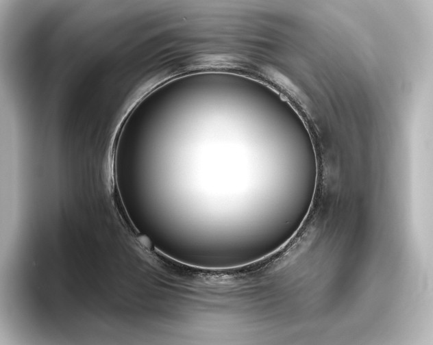 X0000096411370200801241212