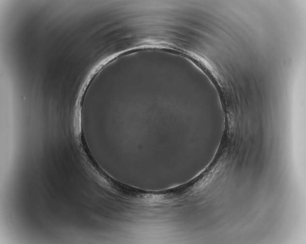 X0000096411371200801241212