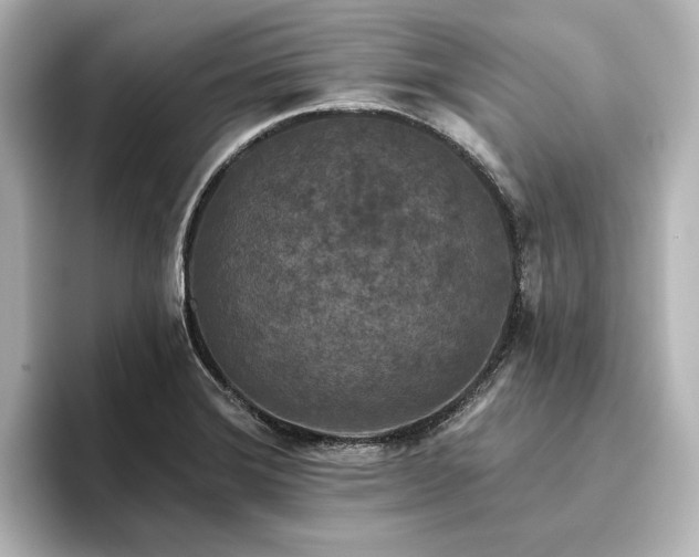 X0000096411372200801241212