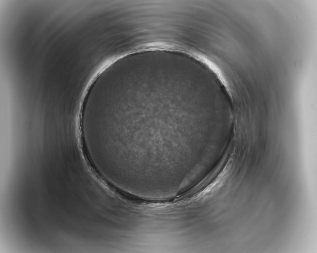 X0000096411373200801241212