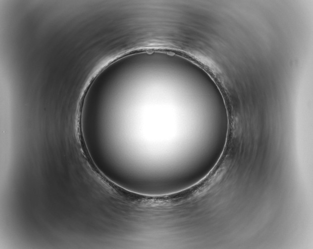 X0000096411374200801241212
