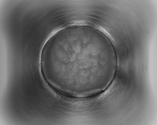 X0000096411378200801241212