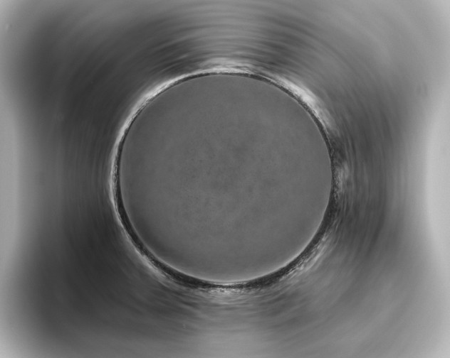 X0000096411379200801241212