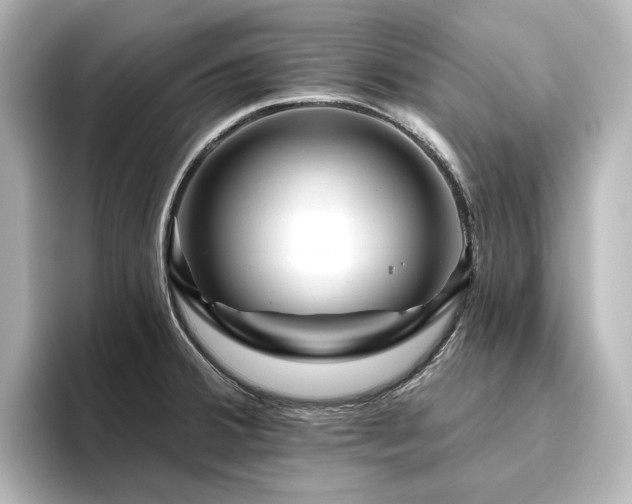 X0000096411380200801241212