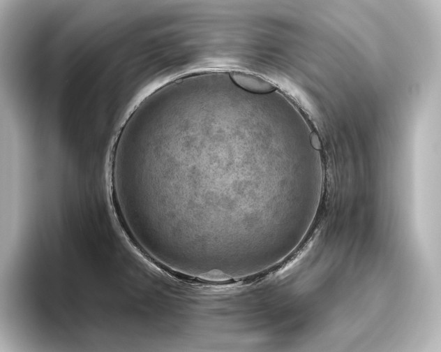 X0000096411382200801241212