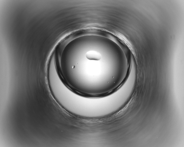 X0000096411384200801241212
