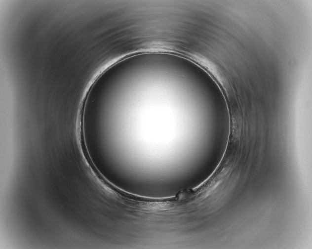 X0000096411387200801241212