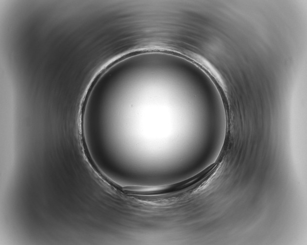 X0000096411388200801241212