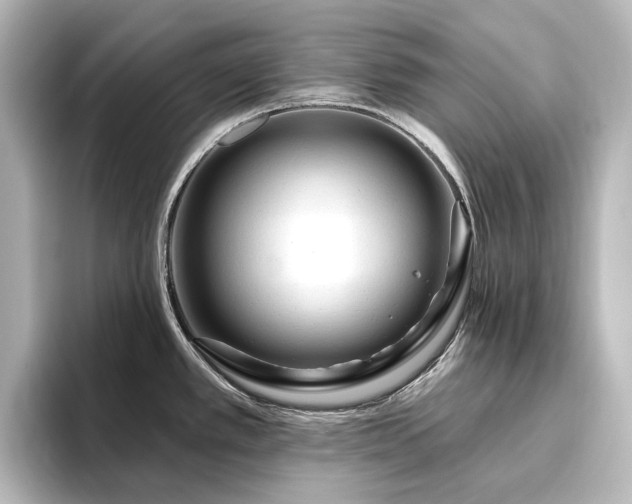X0000096411389200801241212