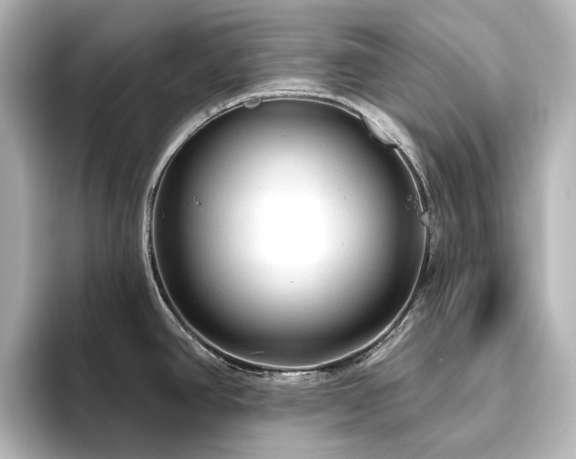 X0000096411390200801241212