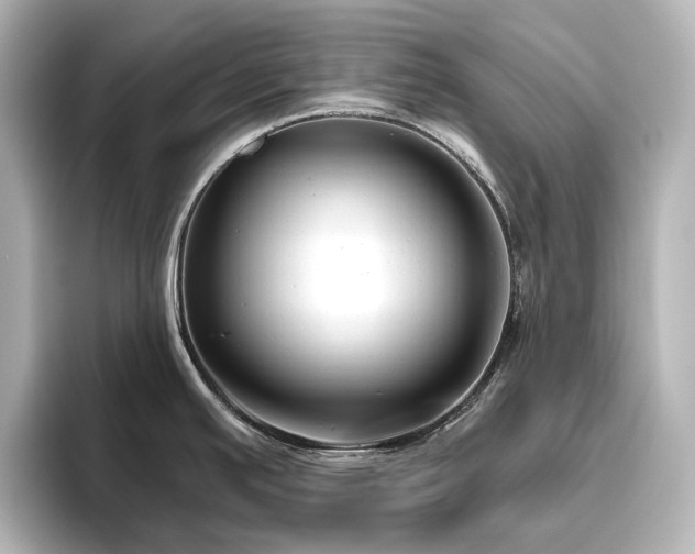 X0000096411391200801241212