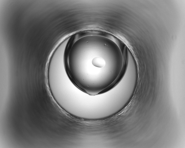 X0000096411392200801241212
