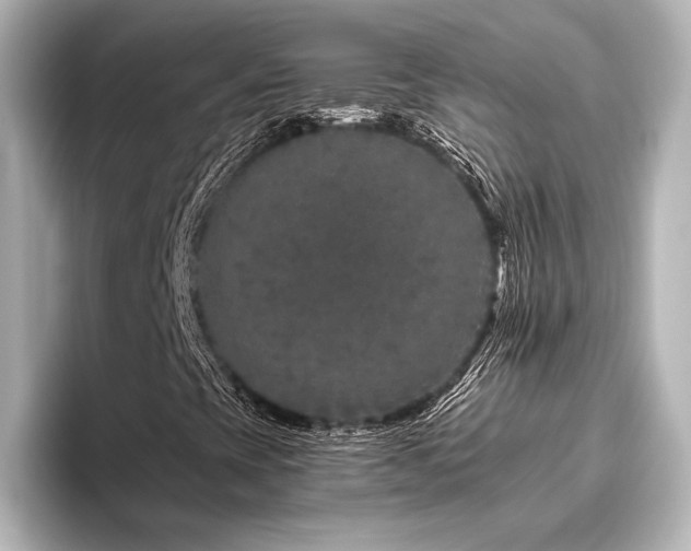 X0000096411393200801241211