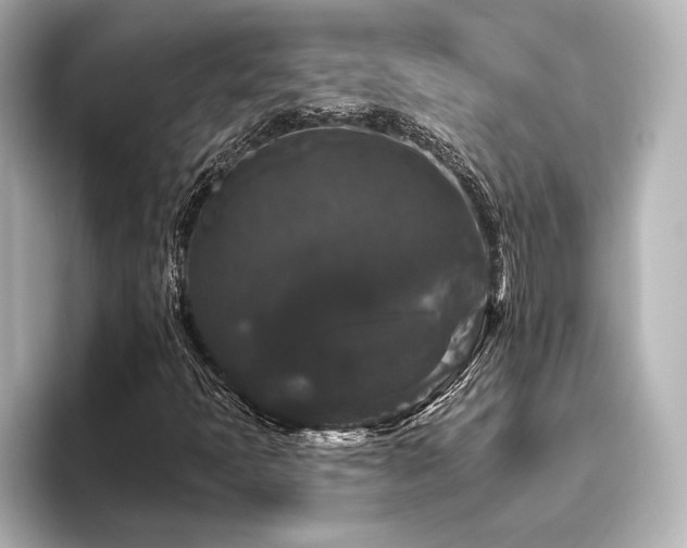 X0000096411397200801241211