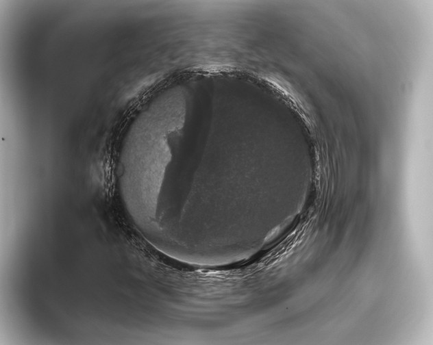 X0000096411398200801241211