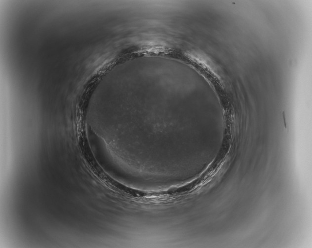 X0000096411399200801241211