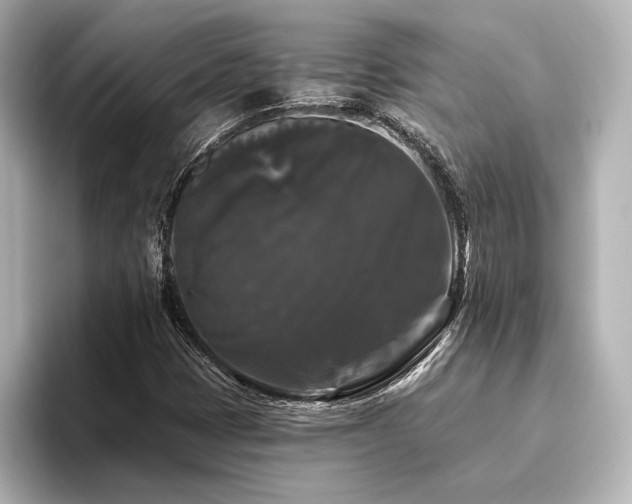 X0000096411401200801241211