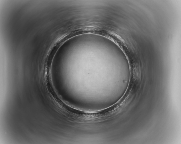 X0000096411402200801241211