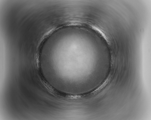 X0000096411403200801241211
