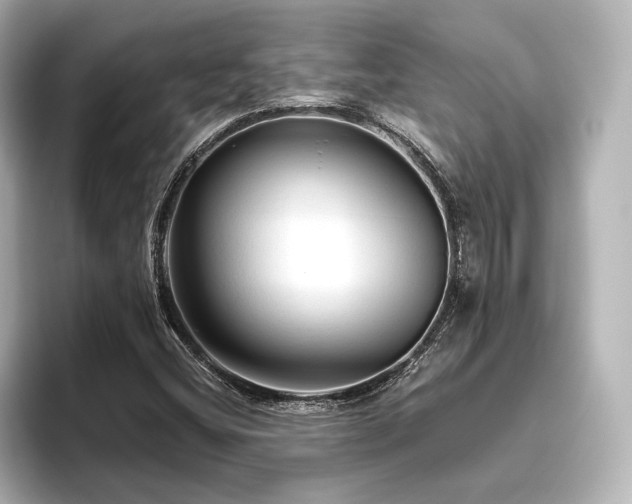 X0000096411404200801241211