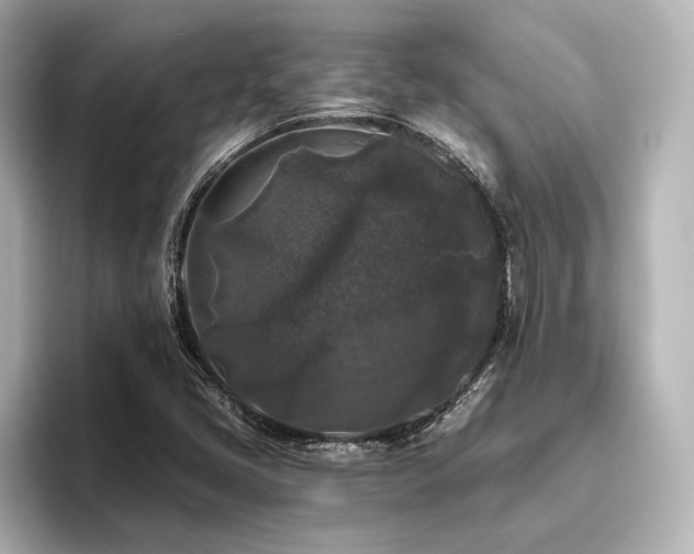 X0000096411405200801241211