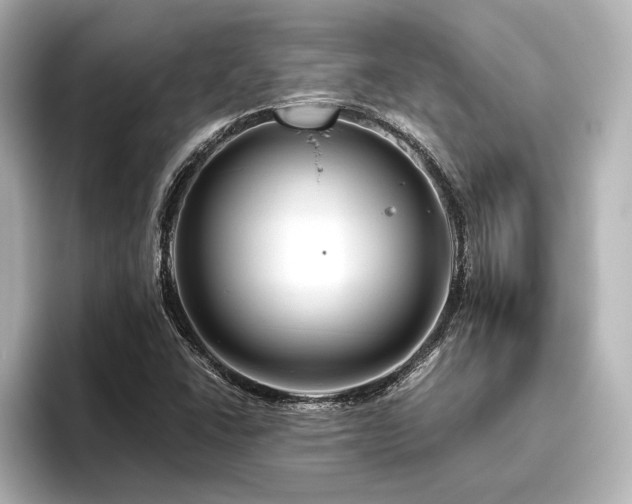 X0000096411406200801241211
