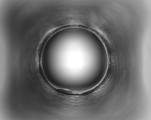 X0000096411408200801241211