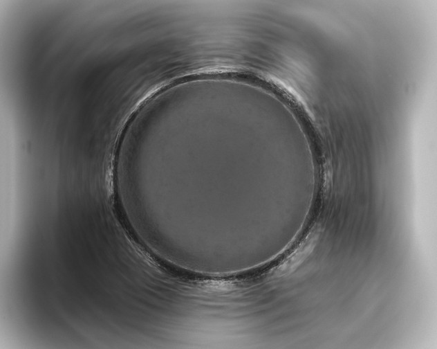 X0000096411409200801241211