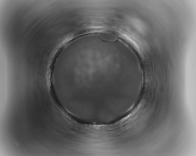 X0000096411411200801241211