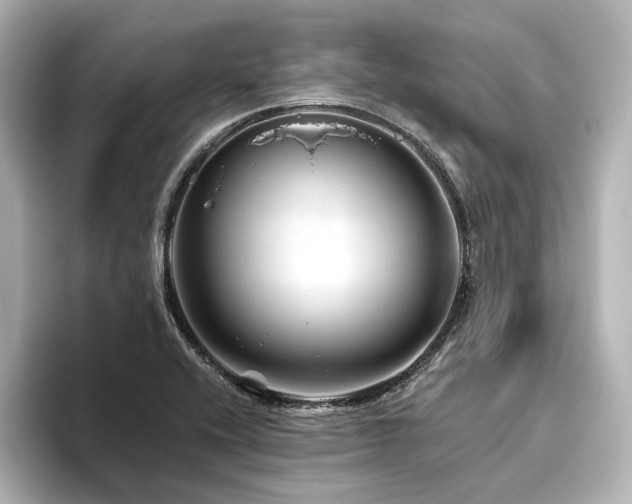 X0000096411416200801241211