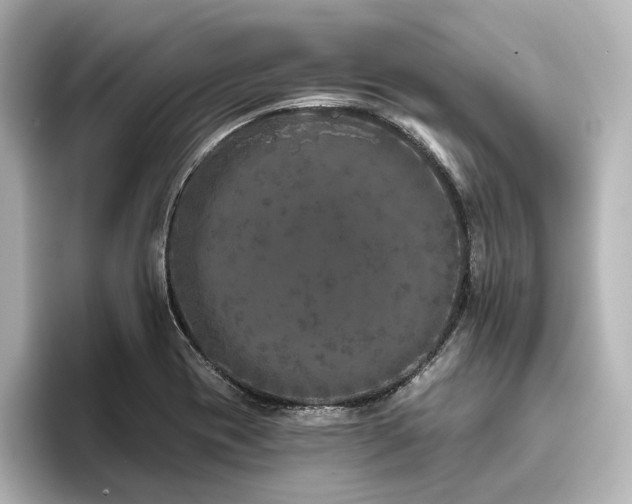 X0000096411417200801241211