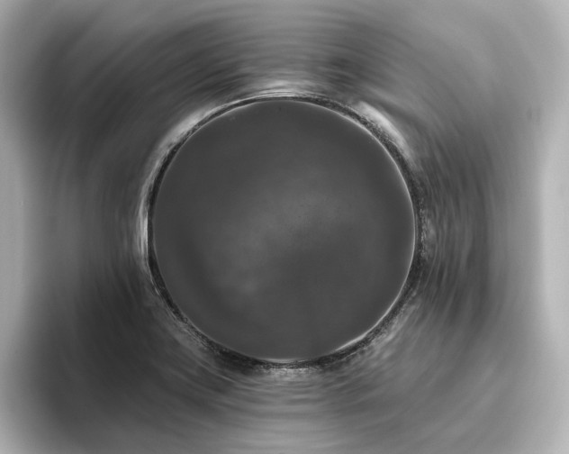 X0000096411419200801241211