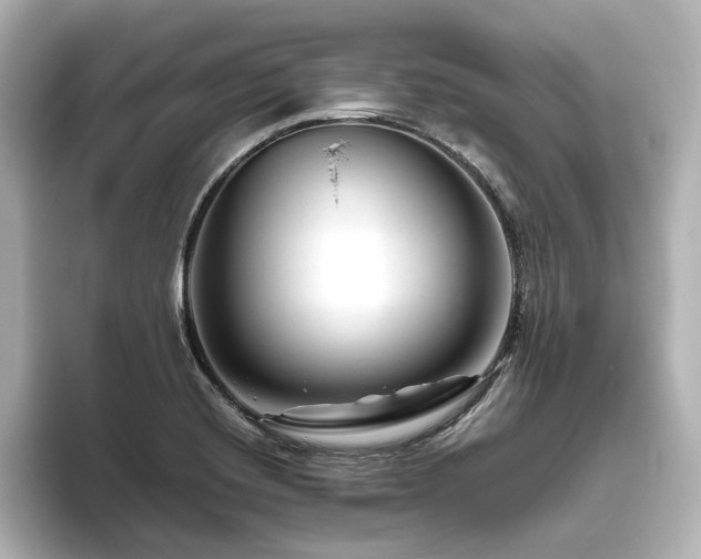 X0000096411420200801241212