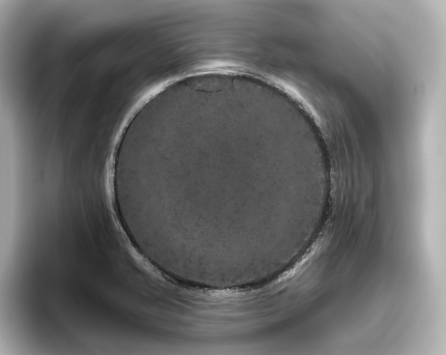 X0000096411421200801241212