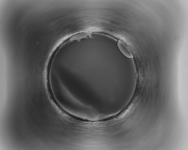 X0000096411422200801241212