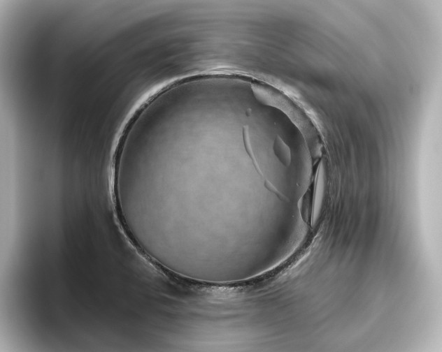 X0000096411424200801241212