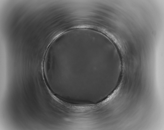 X0000096411425200801241212