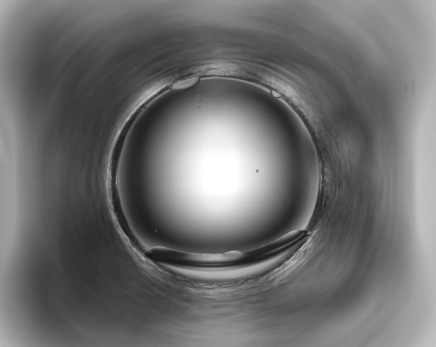 X0000096411426200801241212