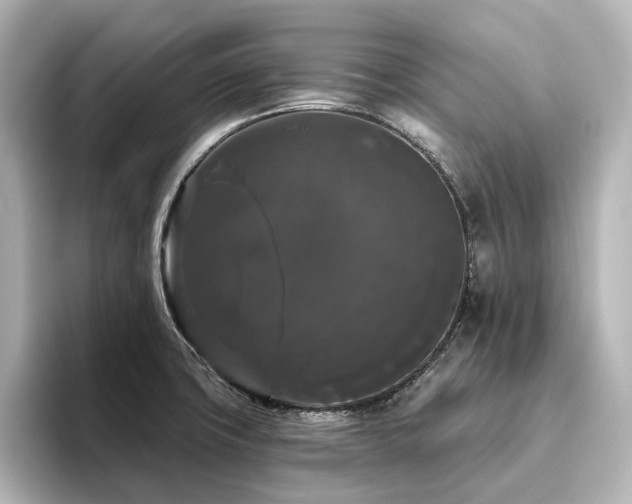 X0000096411427200801241212