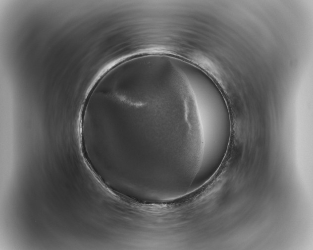 X0000096411428200801241212