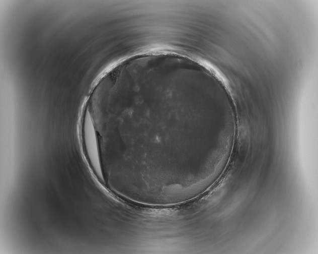 X0000096411429200801241212