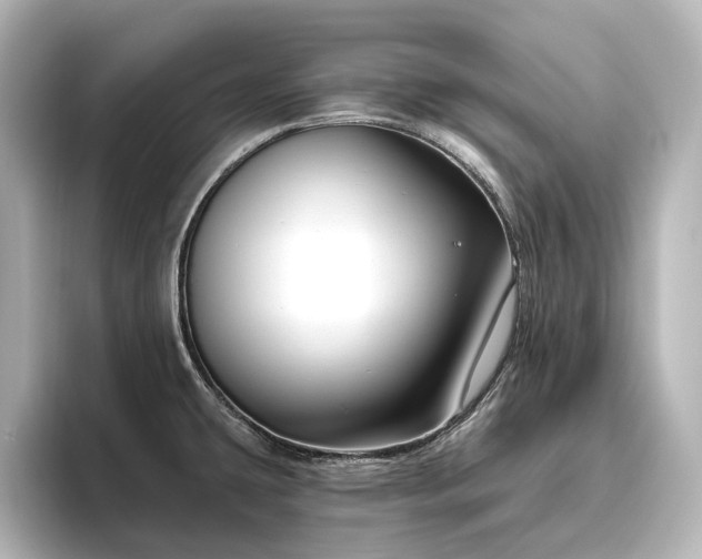 X0000096411431200801241212