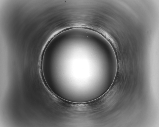 X0000096411432200801241212