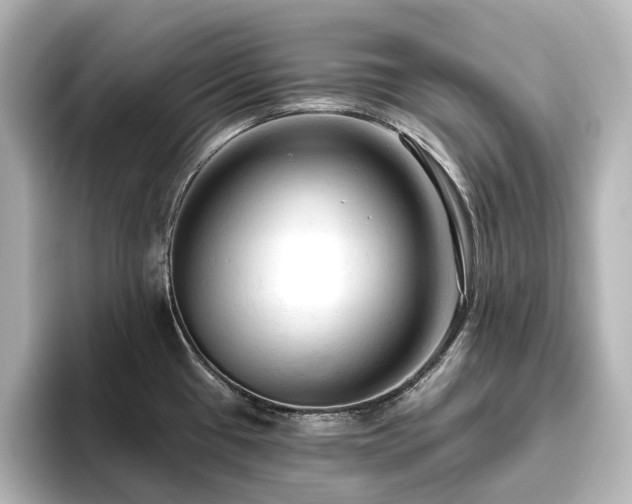 X0000096411433200801241212