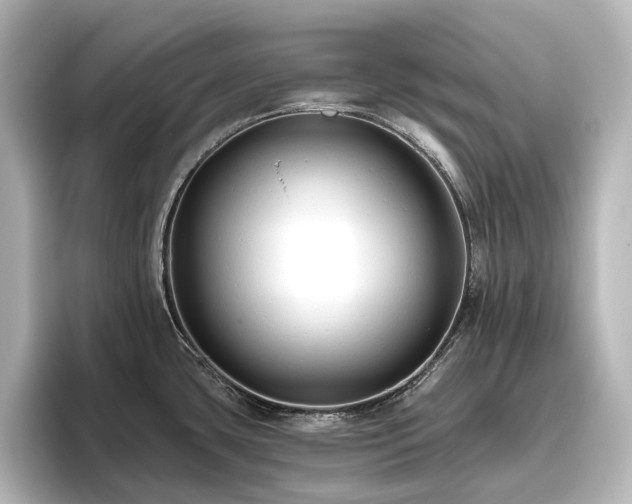 X0000096411435200801241212