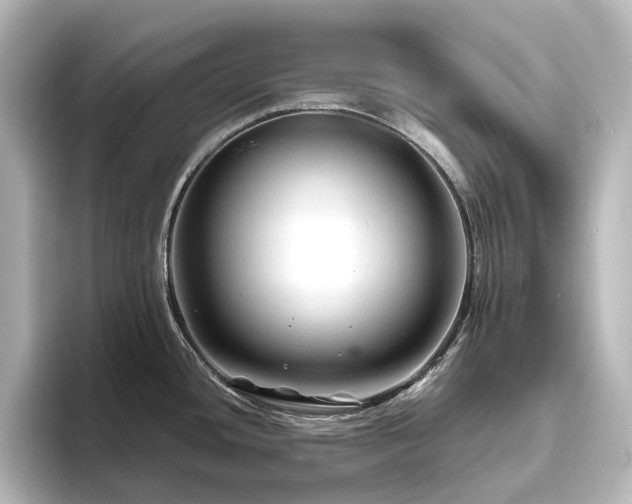 X0000096411436200801241212