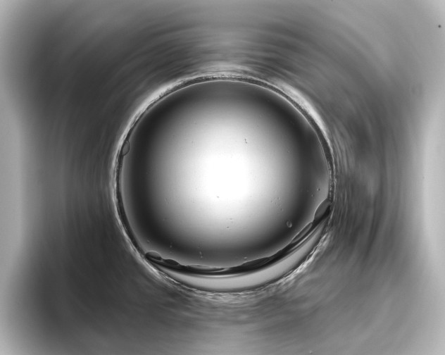X0000096411437200801241212