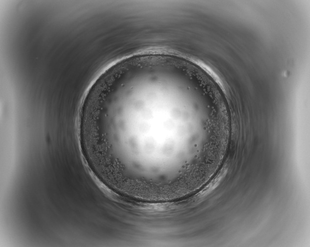 X0000096411438200801241212