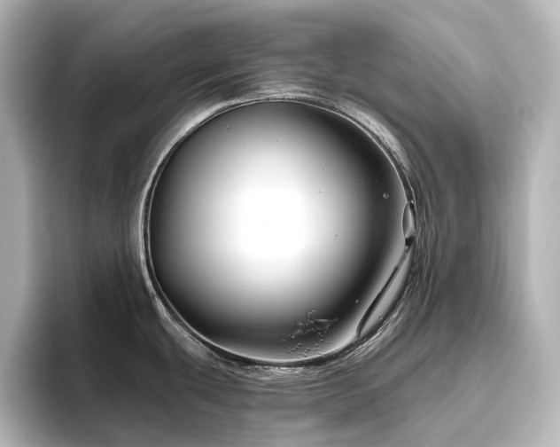 X0000096411439200801241212
