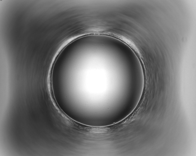 X0000096411440200801241212
